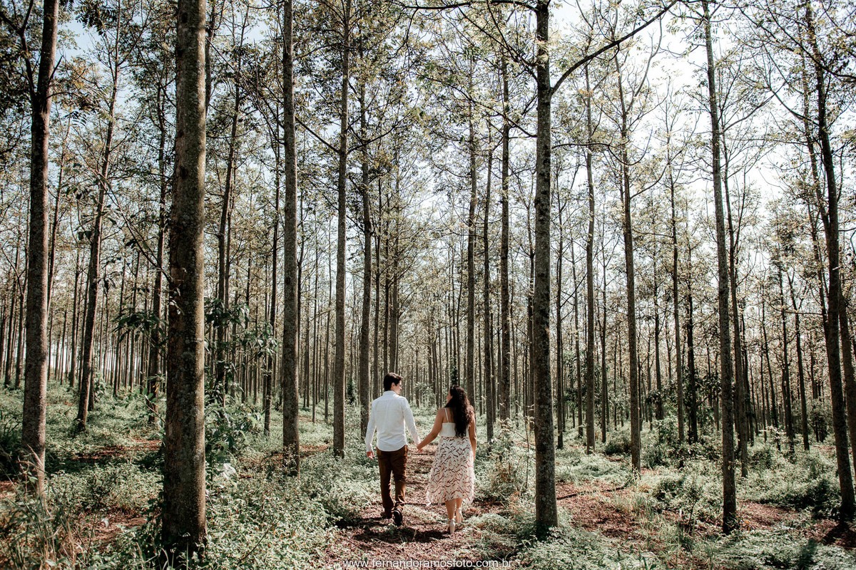 ENSAIO PRÉ-CASAMENTO, HOLAMBRA, THEOS TURISMO, FOTÓGRAFO DE CASAMENTO EM CAMPINAS, PRÉ-WEDDING EM CAMPINAS, FOTO DE ENSAIO PRÉ-CASAMENTO, CASAMENTO, ENSAIO PRÉ-WEDDING EM HOLAMBRA, ENSAIO FOTOGRÁFICO AO AR LIVRE, ENSAIO PRÉ-WEDDING NO CAMPO