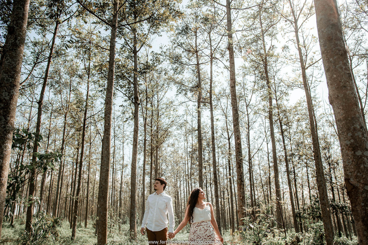ENSAIO PRÉ-CASAMENTO, HOLAMBRA, THEOS TURISMO, FOTÓGRAFO DE CASAMENTO EM CAMPINAS, PRÉ-WEDDING EM CAMPINAS, FOTO DE ENSAIO PRÉ-CASAMENTO, CASAMENTO, ENSAIO PRÉ-WEDDING EM HOLAMBRA, ENSAIO FOTOGRÁFICO AO AR LIVRE, ENSAIO PRÉ-WEDDING NO CAMPO