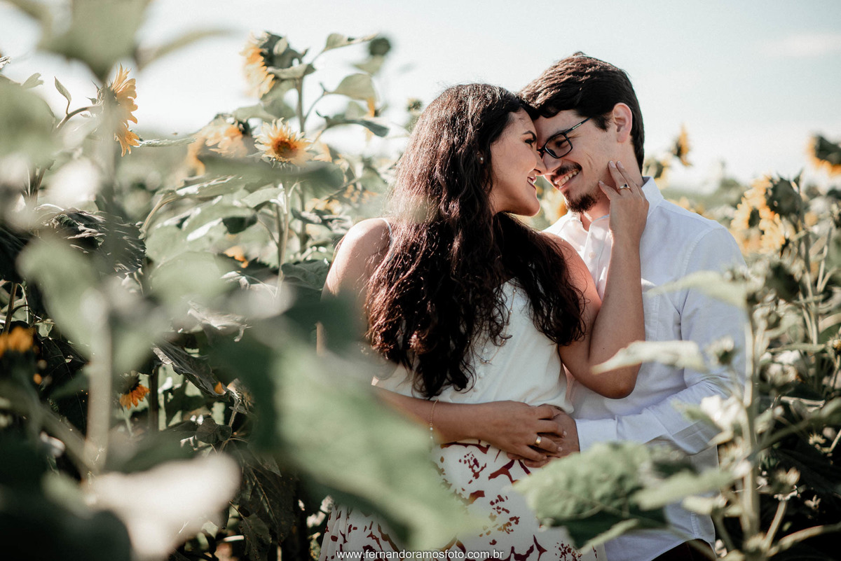 ENSAIO PRÉ-CASAMENTO, HOLAMBRA, THEOS TURISMO, FOTÓGRAFO DE CASAMENTO EM CAMPINAS, PRÉ-WEDDING EM CAMPINAS, FOTO DE ENSAIO PRÉ-CASAMENTO, CASAMENTO, ENSAIO PRÉ-WEDDING EM HOLAMBRA, GIRASSOL, ENSAIO FOTOGRÁFICO AO AR LIVRE, ENSAIO PRÉ-WEDDING NO CAMPO