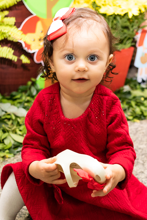 Aniversário Infantil