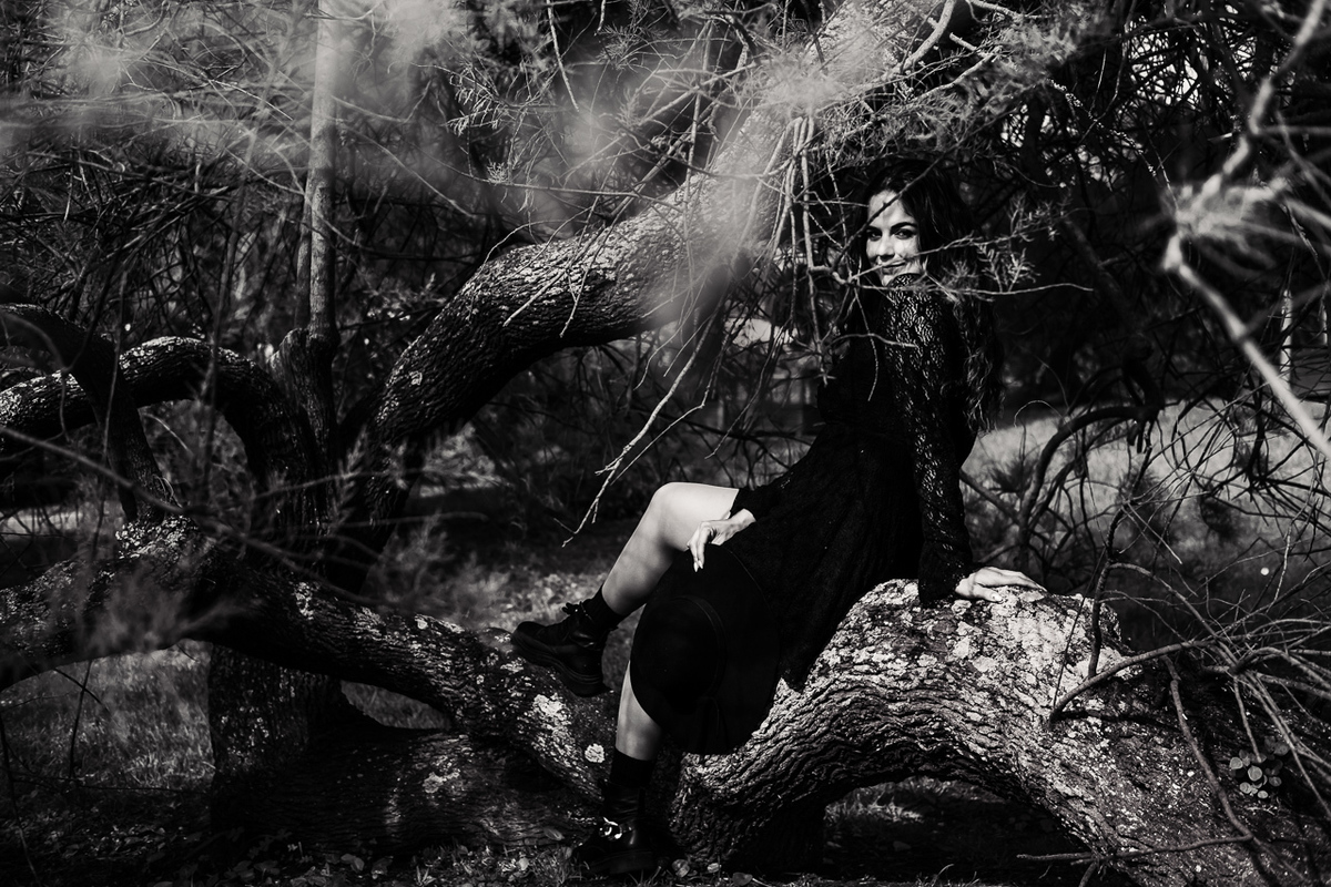 Natureza - Jogo de Luzes