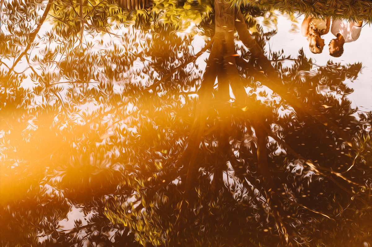 Macaúbas Eco Bar - Mogi Mirim