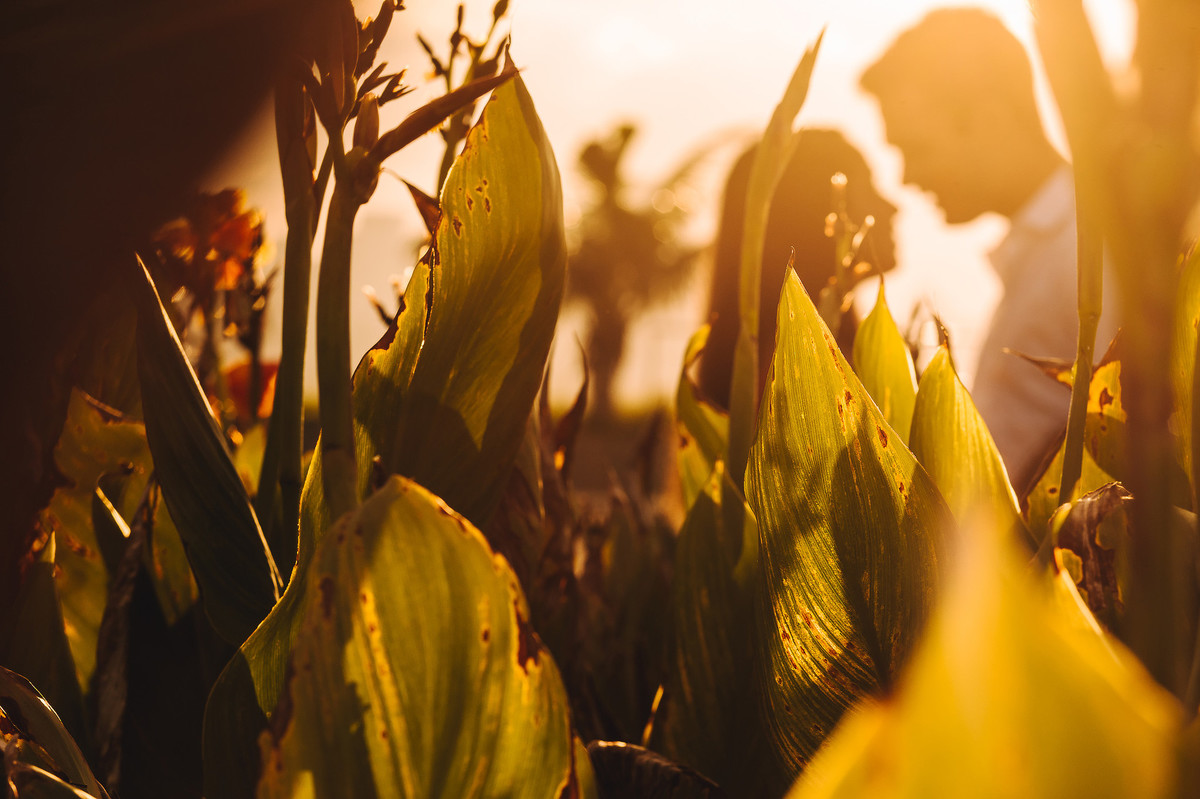 Ensaio Fotográfico em Santos
