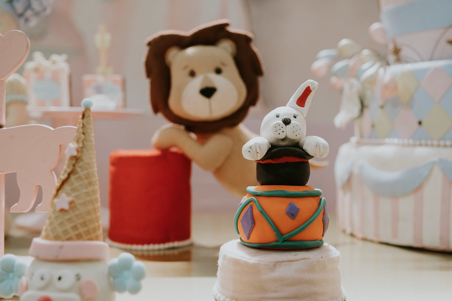 Festa de aniversário infantil com tema circo de Rafaela e Manuela no Buffet Villa safari, em Santo André por Anderson Crepaldi Fotografia