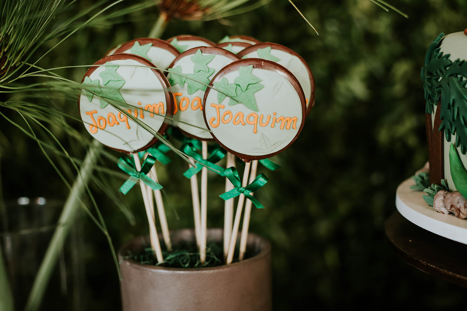 Festa Infantil Tema Dinossauros