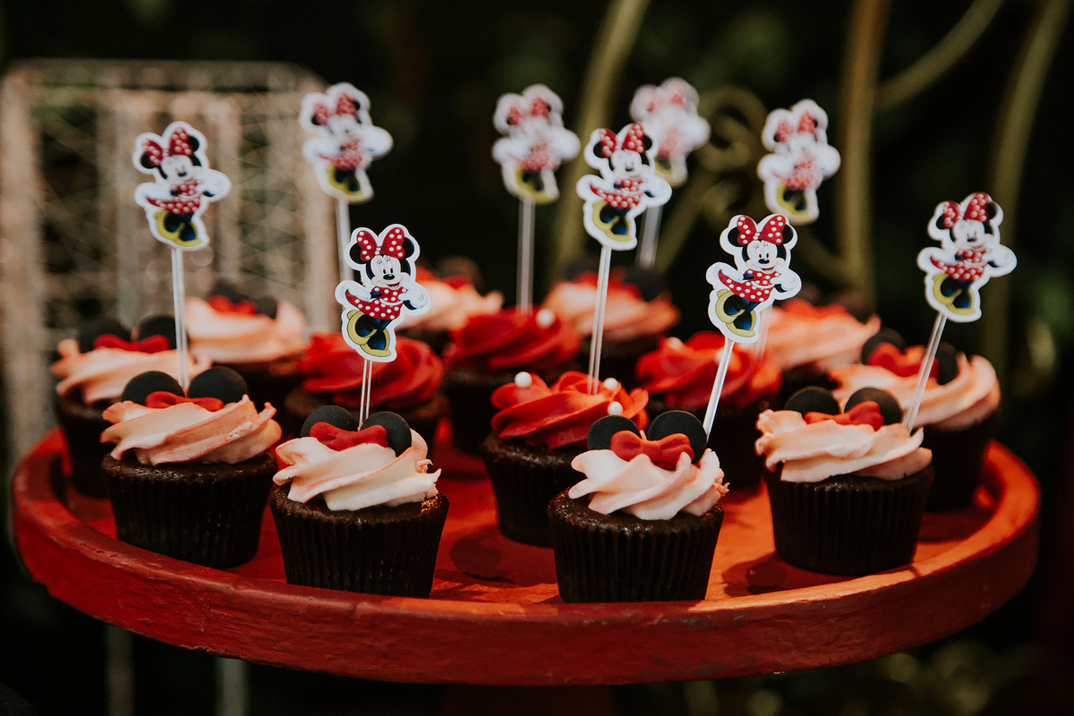 Fotografia de Festa Infantil em Guarulhos