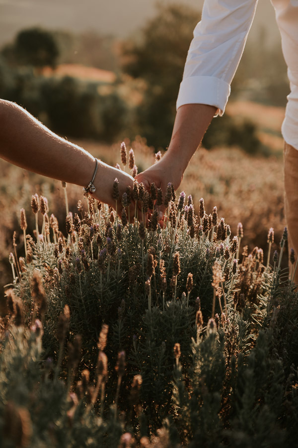 Ensaio Pré wedding no Lavandário de cunha por Anderson Crepaldi Fotografia