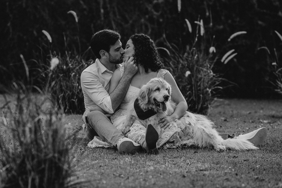 ensaio pré casamento no haras em avaré de Amanda e Marcos por Anderson Crepaldi Fotografia