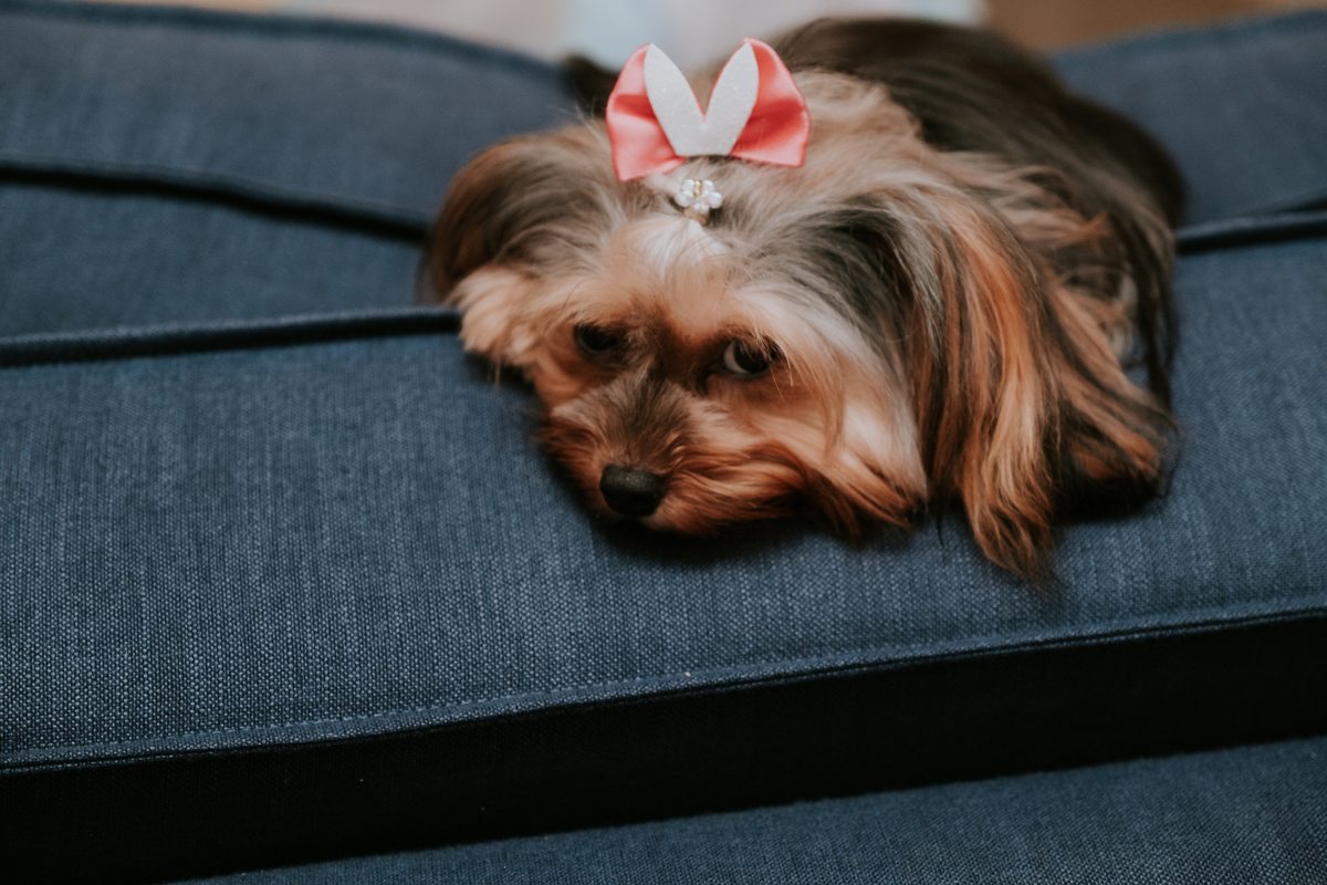 Festa do pijama com tema Lilo & Stitch de Maria Luiza por Anderson Crepaldi FOotgrafia