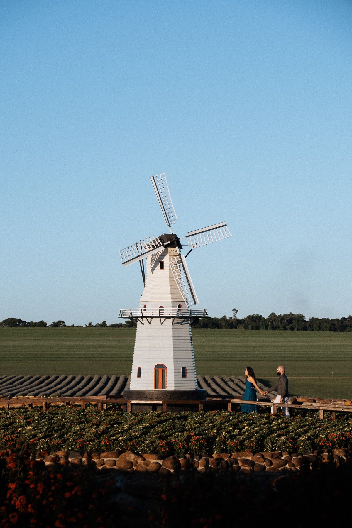 Ensaio pré wedding no Macena Flores em Holambra por Anderson Crepaldi Fotografia