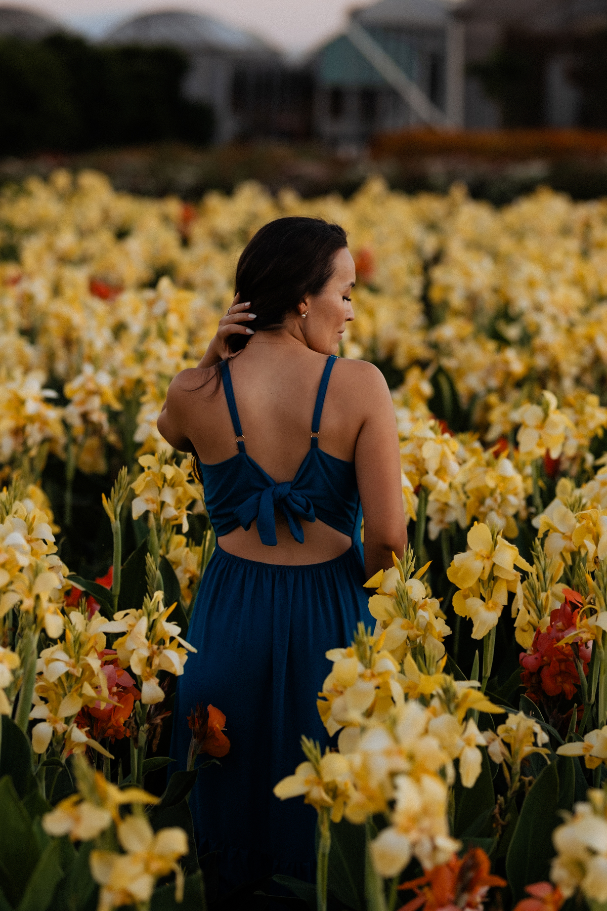 Ensaio pré wedding no Macena Flores em Holambra por Anderson Crepaldi Fotografia