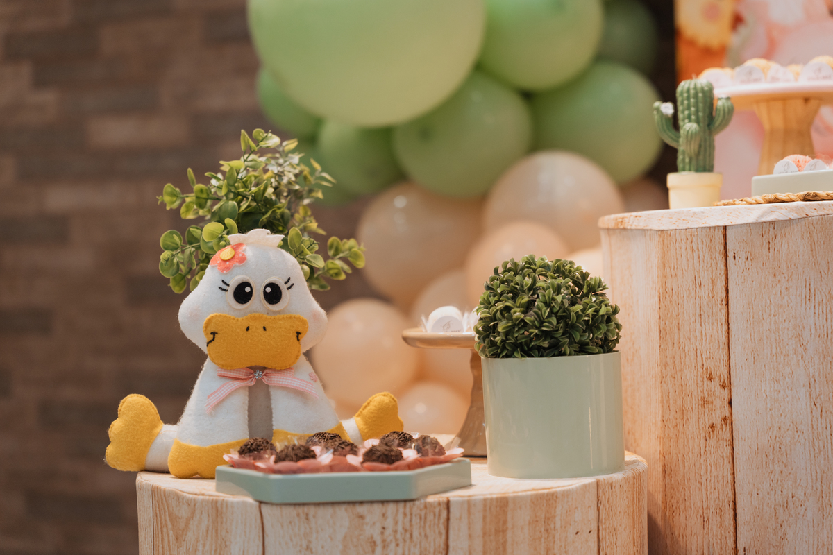 Festa de aniversário infantil com tema Fazendinha no Magic Joy Buffet de Alice por Anderson Crepaldi Fotografia