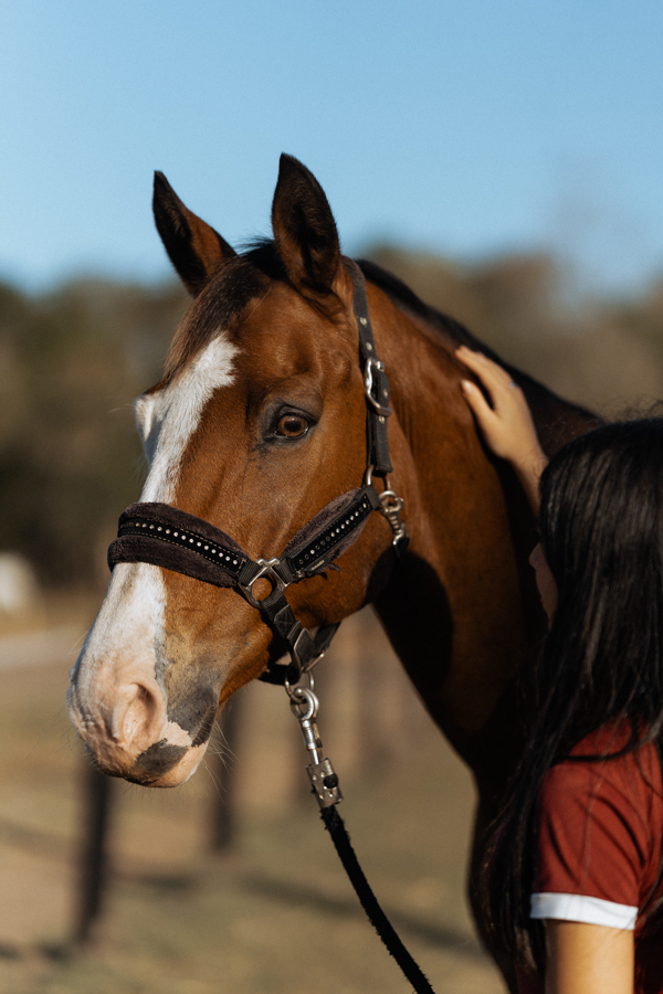 Ensaio debutante de 15 anos no Condomínio Fazenda Jaguariúna de Melissa por Anderson Crepaldi Fotografia