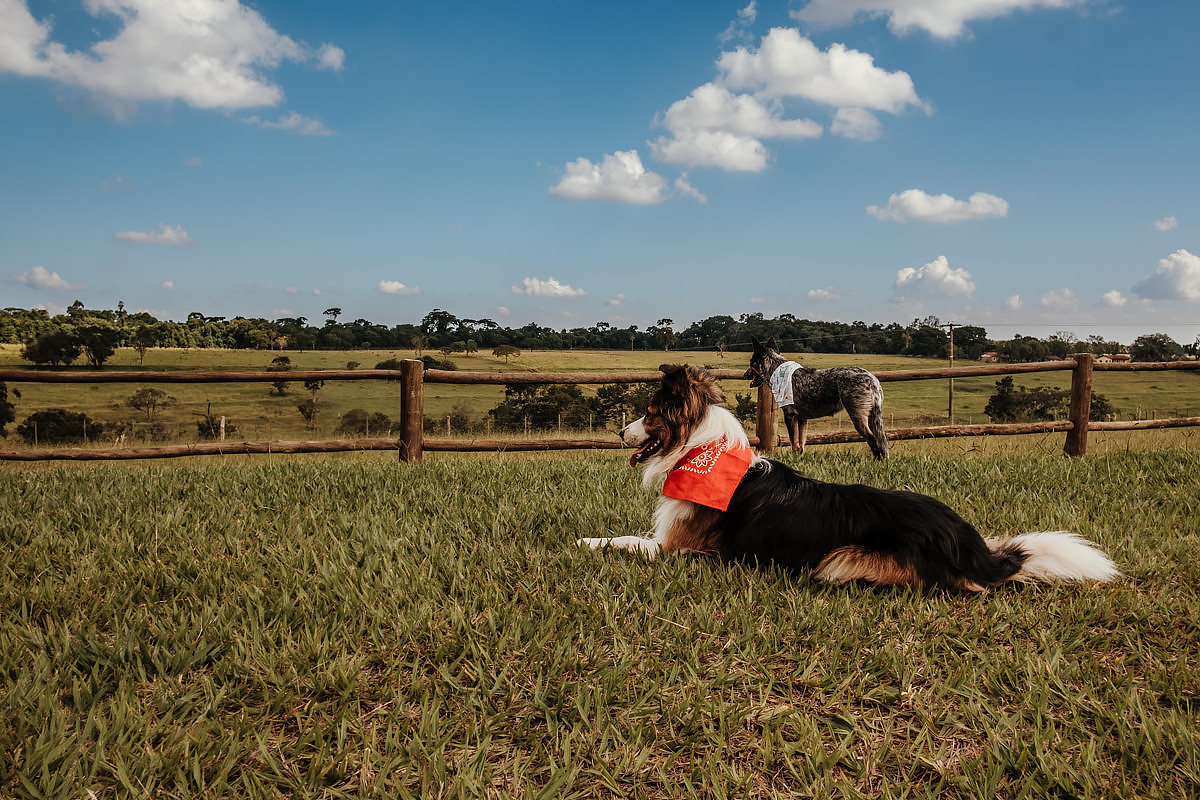 Ensaio Fotográfico Pré-Casamento em Avaré, realizado por Anderson Crepaldi