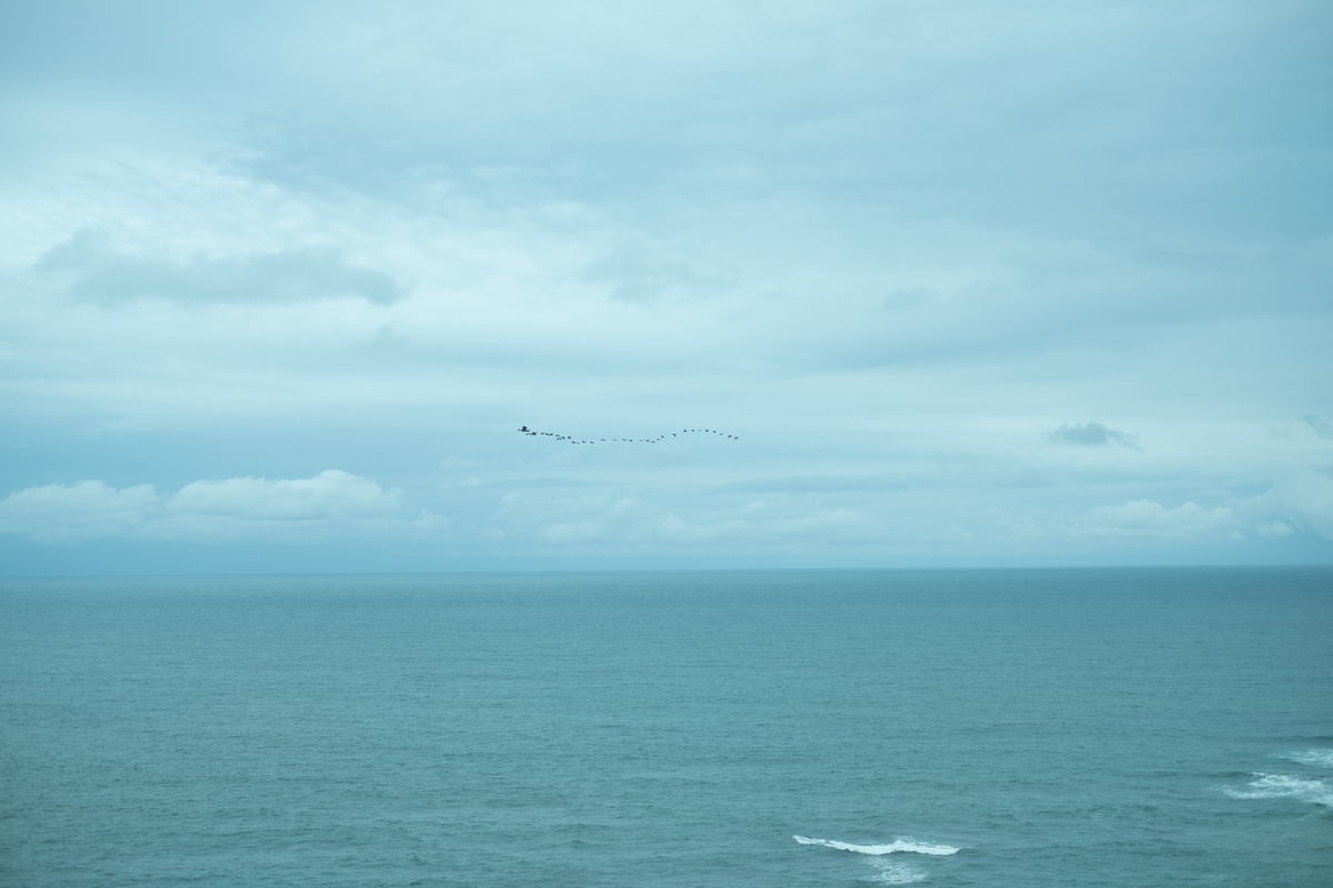 Casamento em Macaé - RJ de Thamires e Lucas no Espaço Casadio, realizado por Anderson Crepaldi Fotografia