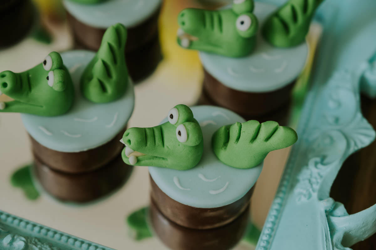 Festa de aniversário infantil com tema safari em casa, em São Paulo, do João Tadeu por Anderson Crepaldi Fotografia