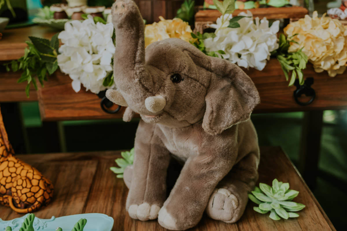 Festa de aniversário infantil com tema safari em casa, em São Paulo, do João Tadeu por Anderson Crepaldi Fotografia