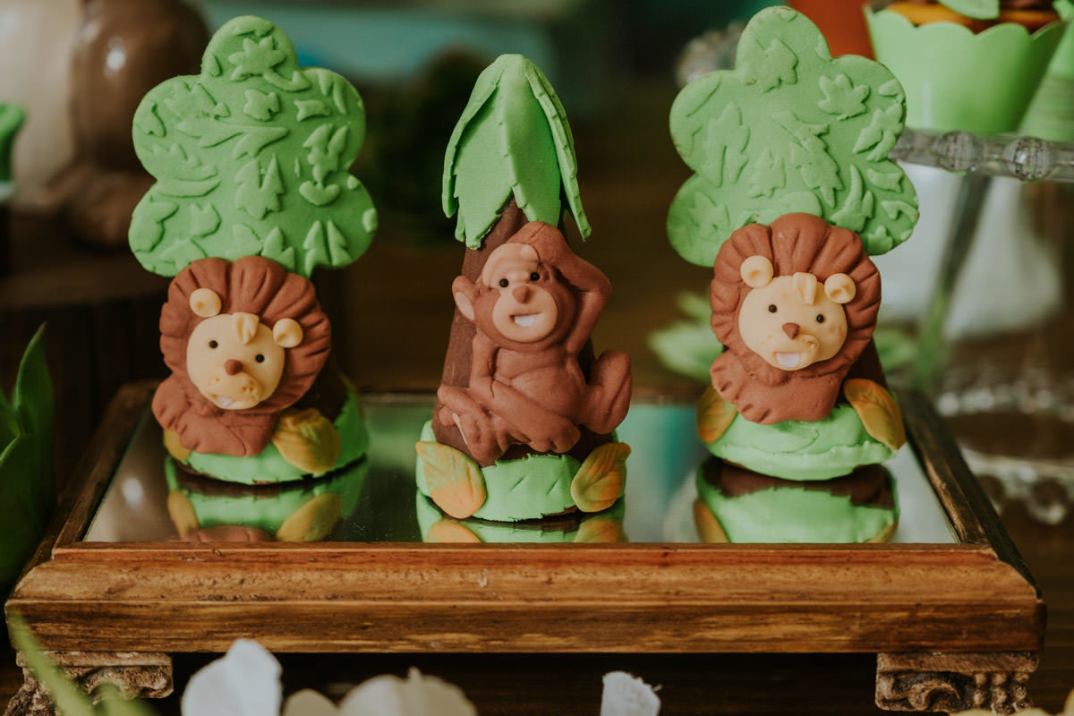 Festa de aniversário infantil com tema safari em casa, em São Paulo, do João Tadeu por Anderson Crepaldi Fotografia
