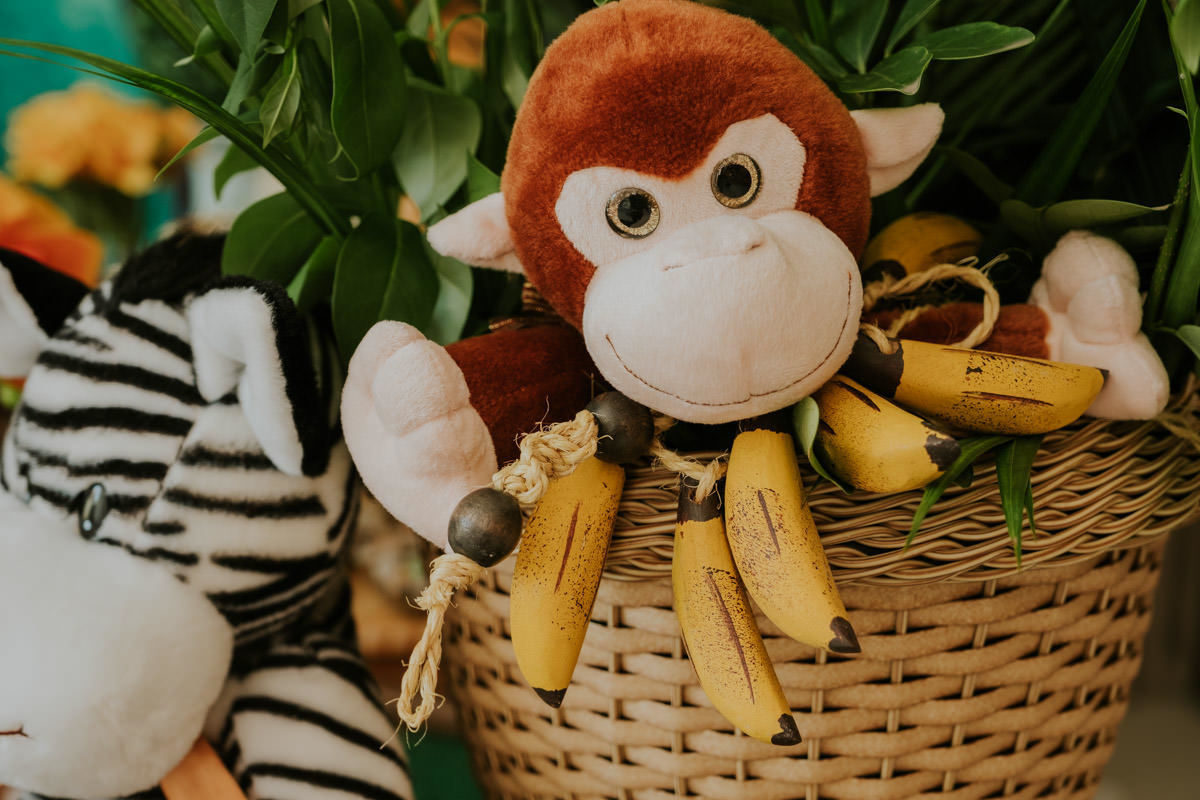 Festa de aniversário infantil com tema safari em casa, em São Paulo, do João Tadeu por Anderson Crepaldi Fotografia
