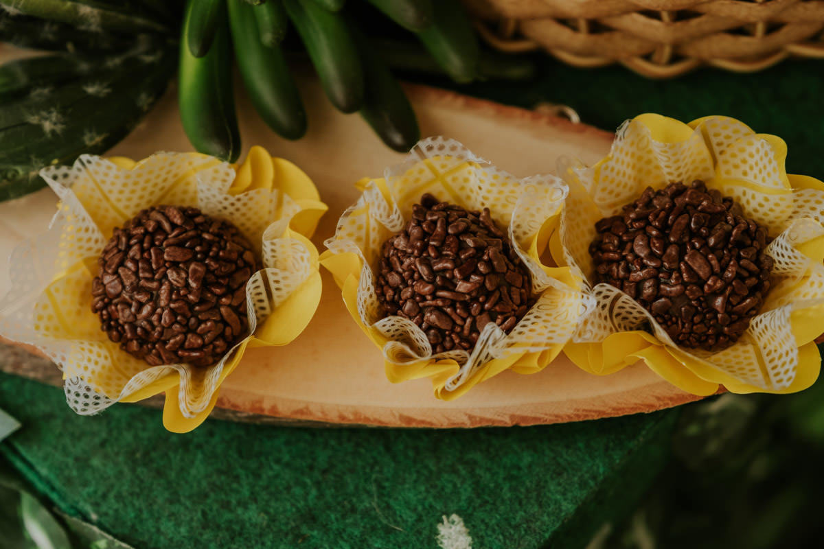 Festa de aniversário infantil com tema safari em casa, em São Paulo, do João Tadeu por Anderson Crepaldi Fotografia