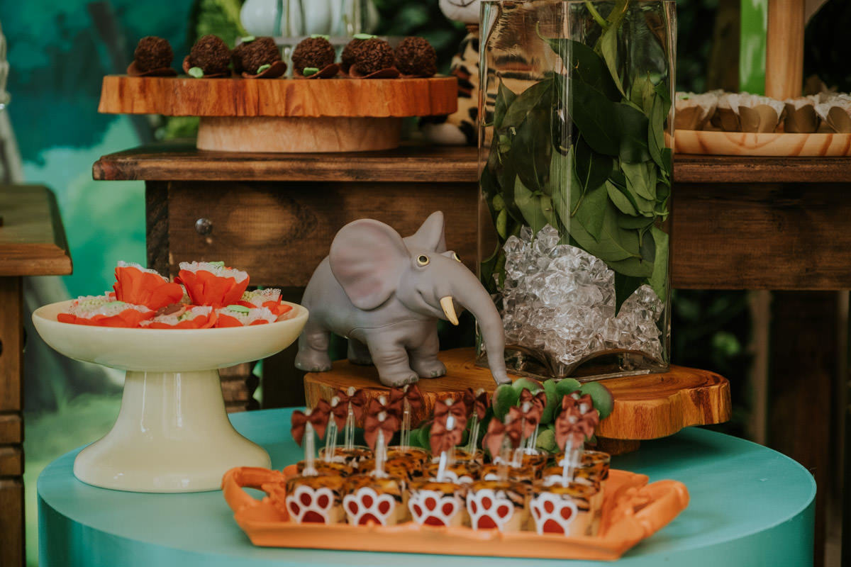 Festa de aniversário infantil com tema safari em casa, em São Paulo, do João Tadeu por Anderson Crepaldi Fotografia