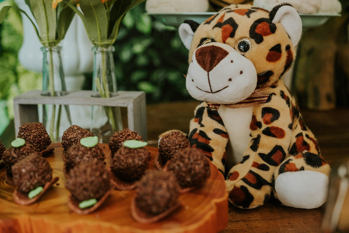 Festa de aniversário infantil com tema safari em casa, em São Paulo, do João Tadeu por Anderson Crepaldi Fotografia
