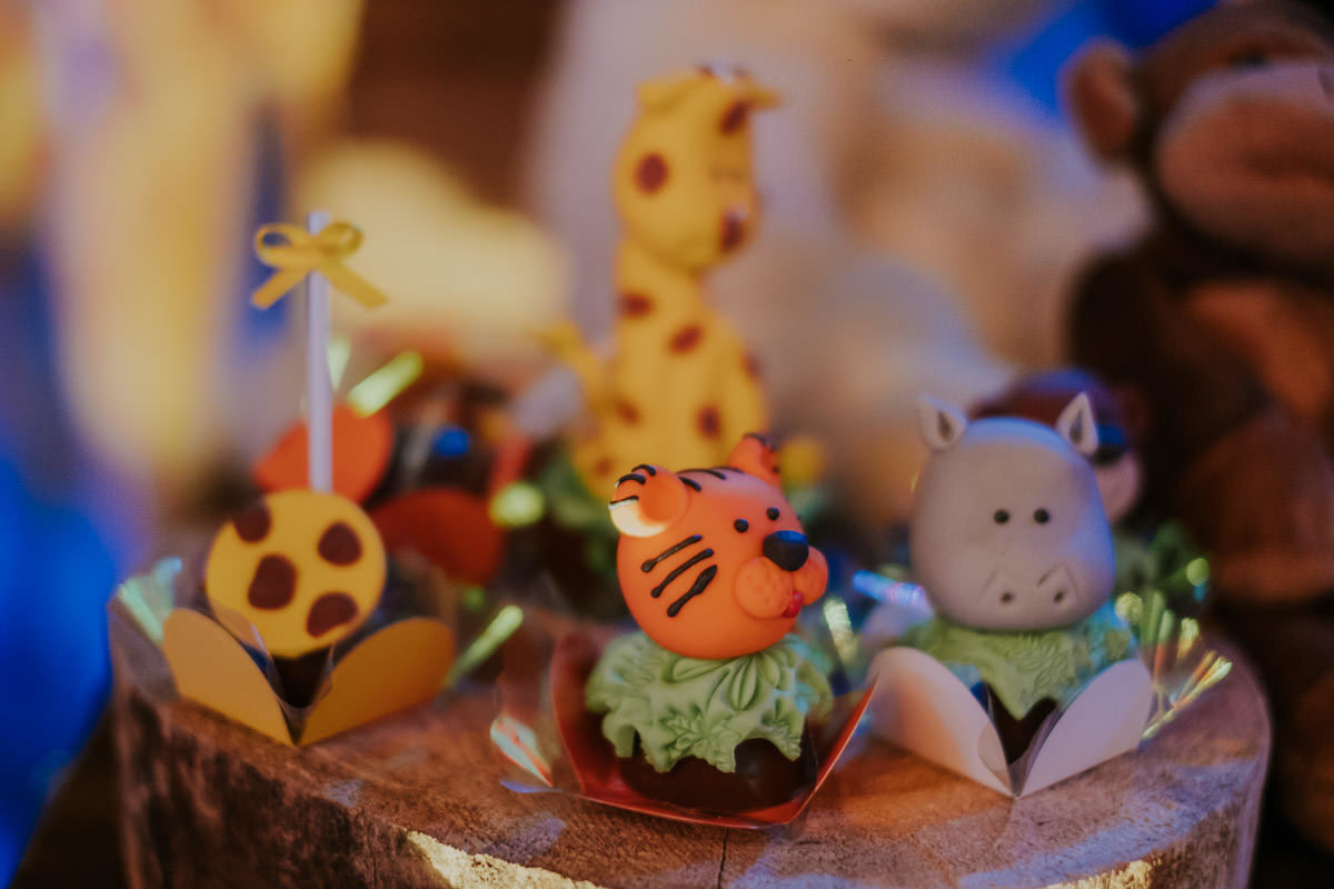Festa de aniversário infantil Miguel no Buffet Planeta Kids com tema Safari por Anderson Crepaldi Fotografia