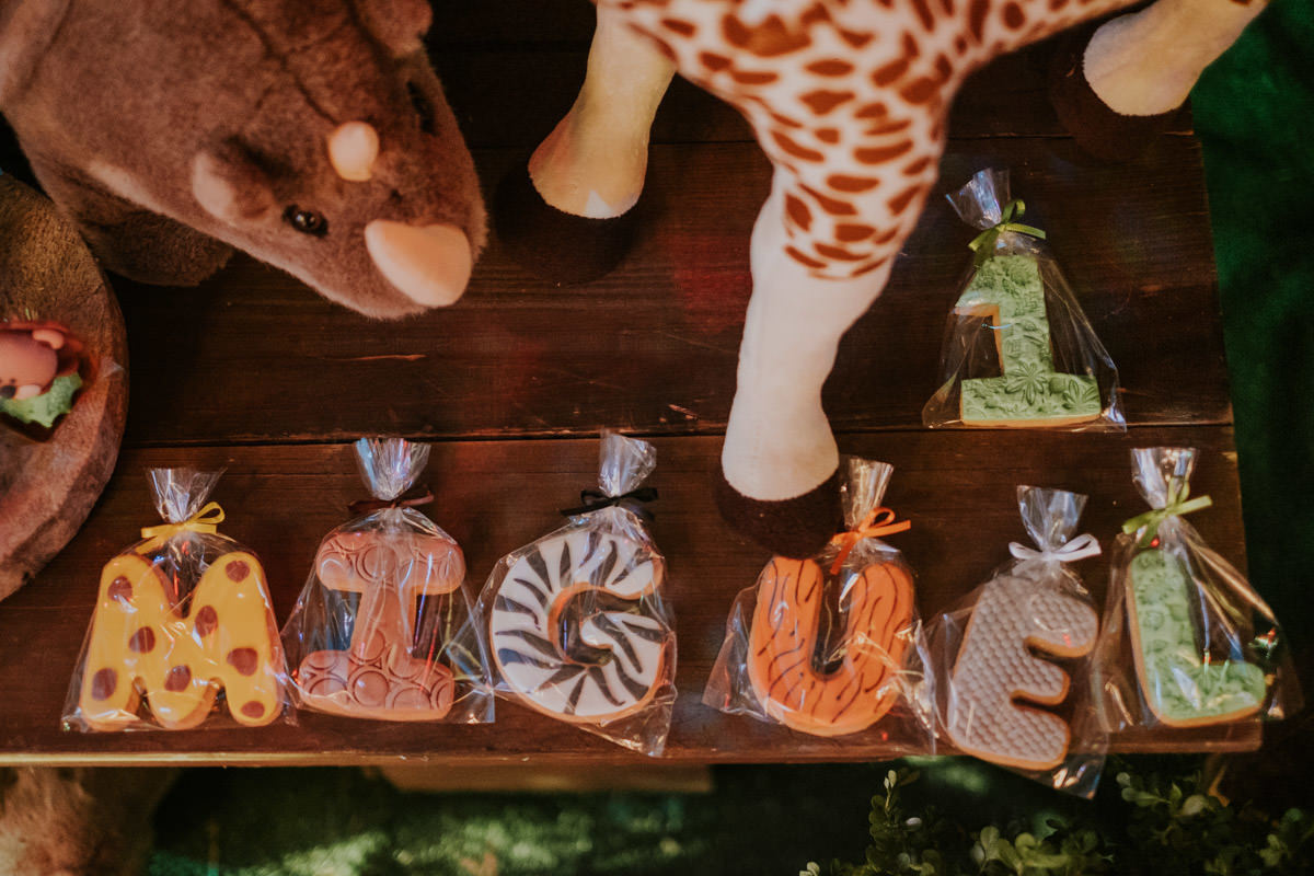 Festa de aniversário infantil Miguel no Buffet Planeta Kids com tema Safari por Anderson Crepaldi Fotografia