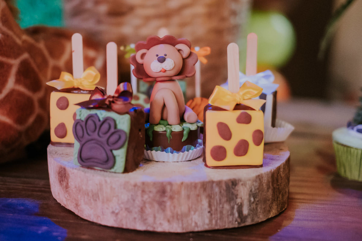Festa de aniversário infantil Miguel no Buffet Planeta Kids com tema Safari por Anderson Crepaldi Fotografia