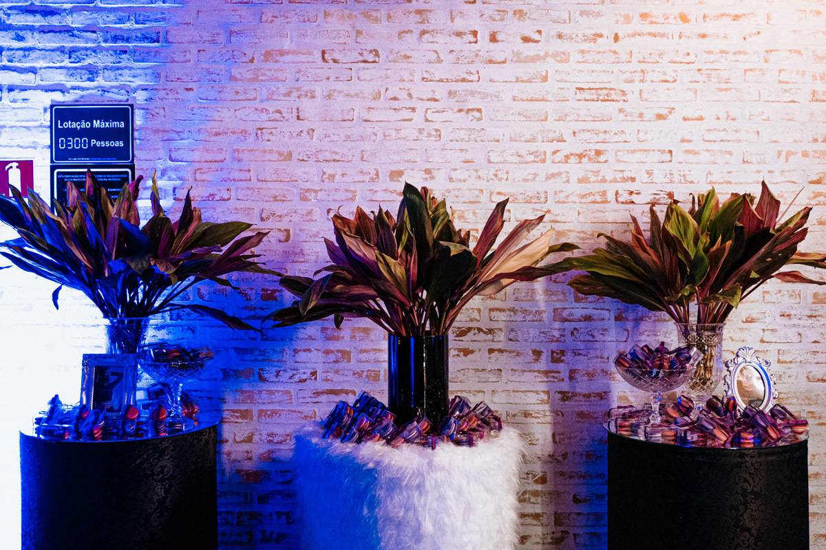 Festa Debutante Laura no espaço Pátio Eventos por Anderson Crepaldi Fotografia