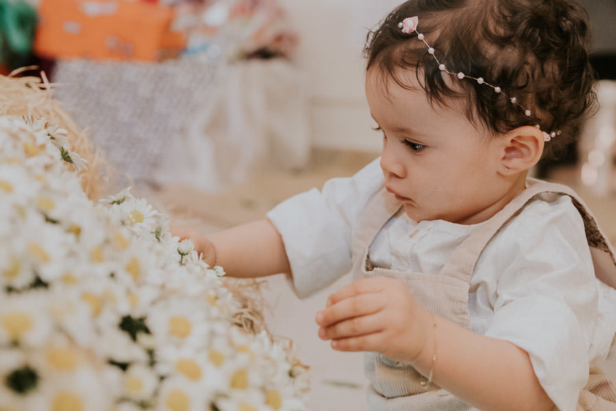 Festa de aniversário infantil da Lilla em casa com tema Fazendinha por Anderson Crepaldi Fotografia
