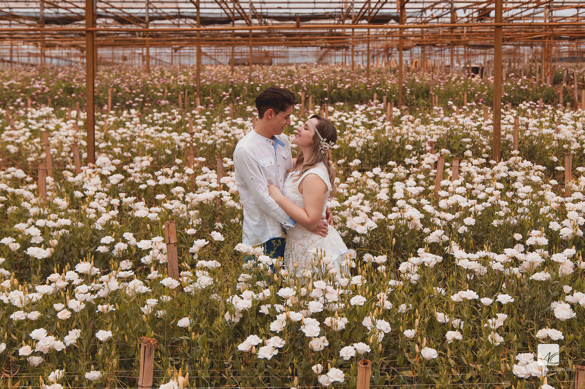 Ensaio Larissa e Florestan em Holambra/SP