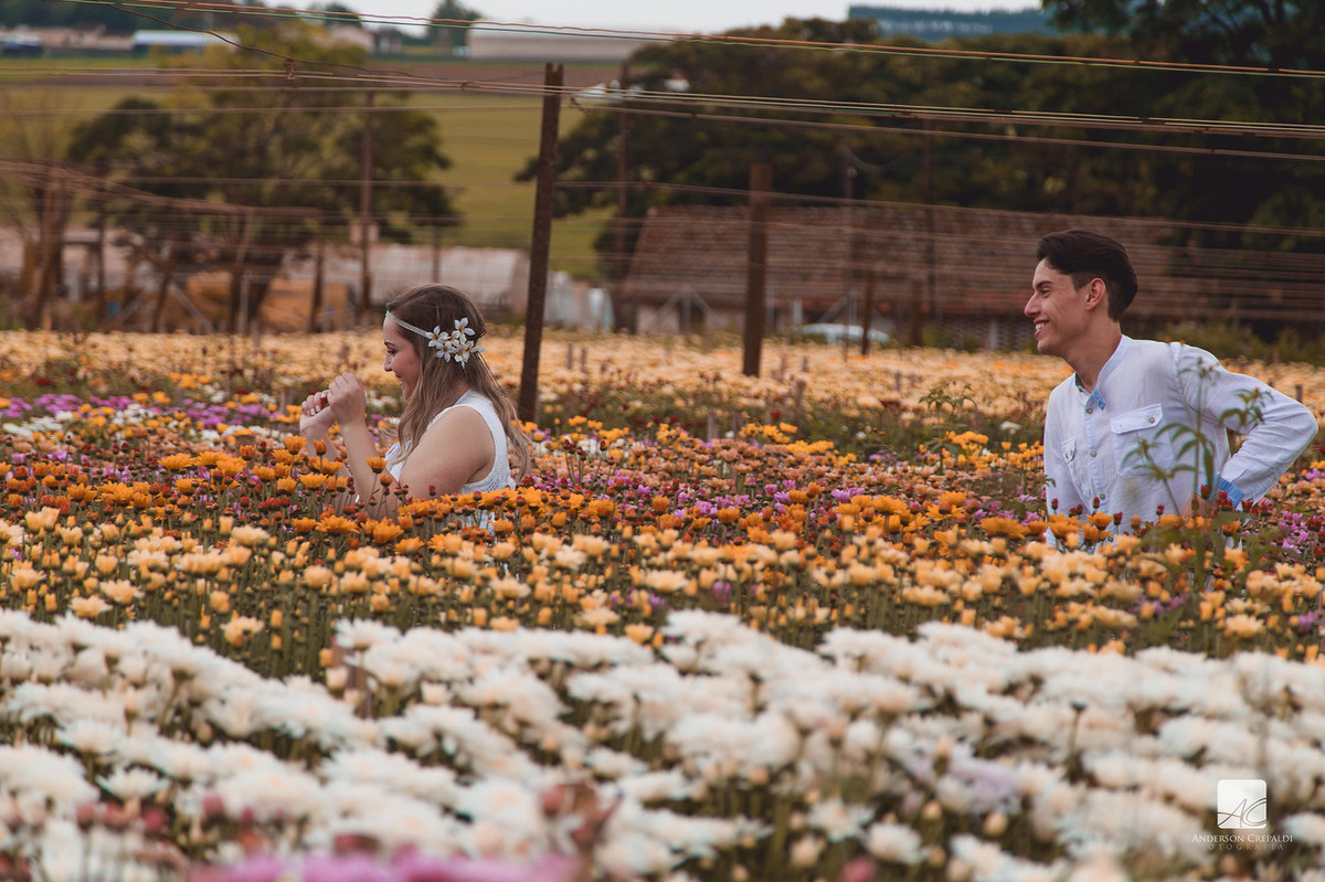 Ensaio Larissa e Florestan em Holambra/SP