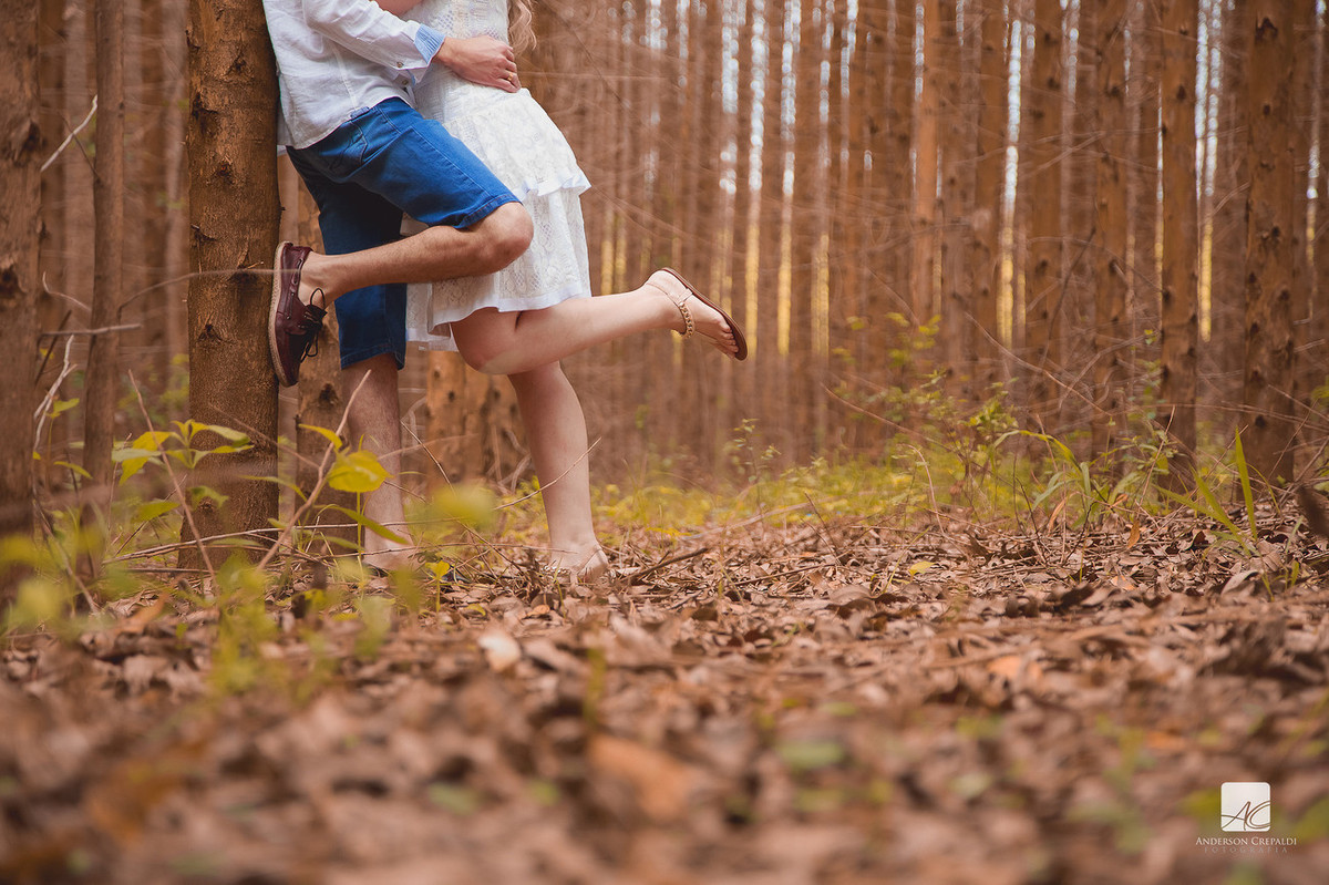 Ensaio Larissa e Florestan em Holambra/SP
