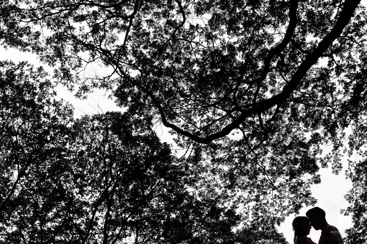 Ensaio Larissa e Florestan em Holambra/SP