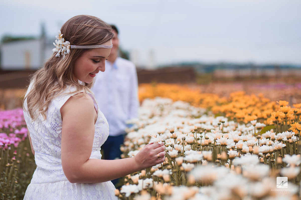 Ensaio Larissa e Florestan em Holambra/SP