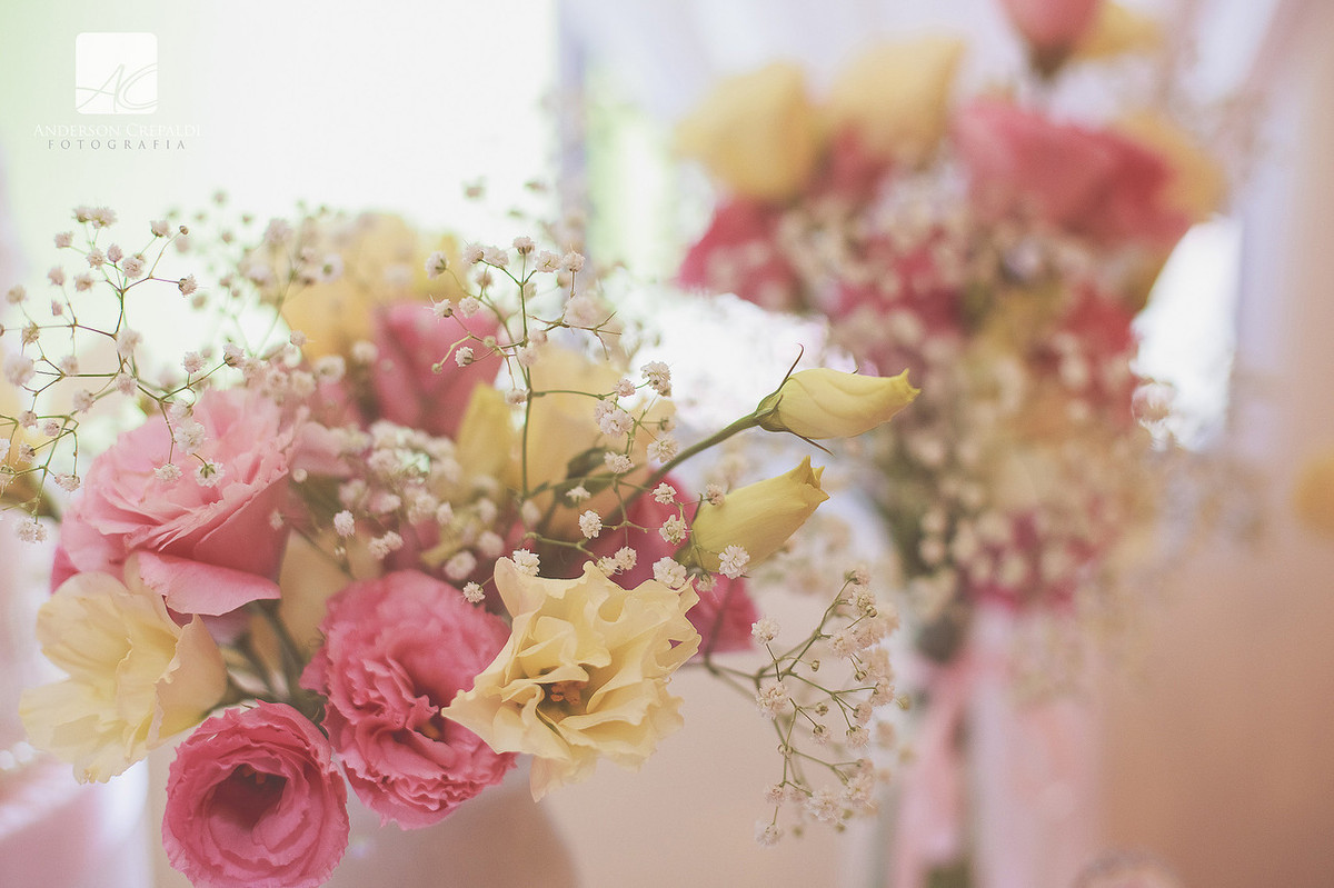 Festa da Maria Cecília