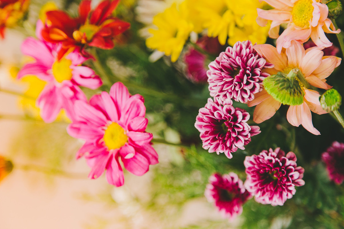 Marcela e José Noivado