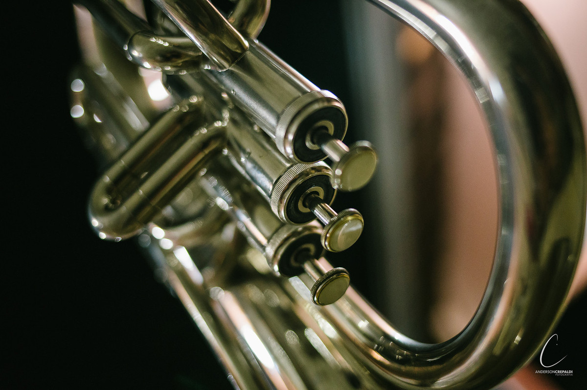 Bodas de Ouro Cida e Celestino