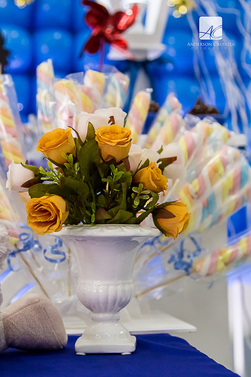 Festa Infantil Daniel