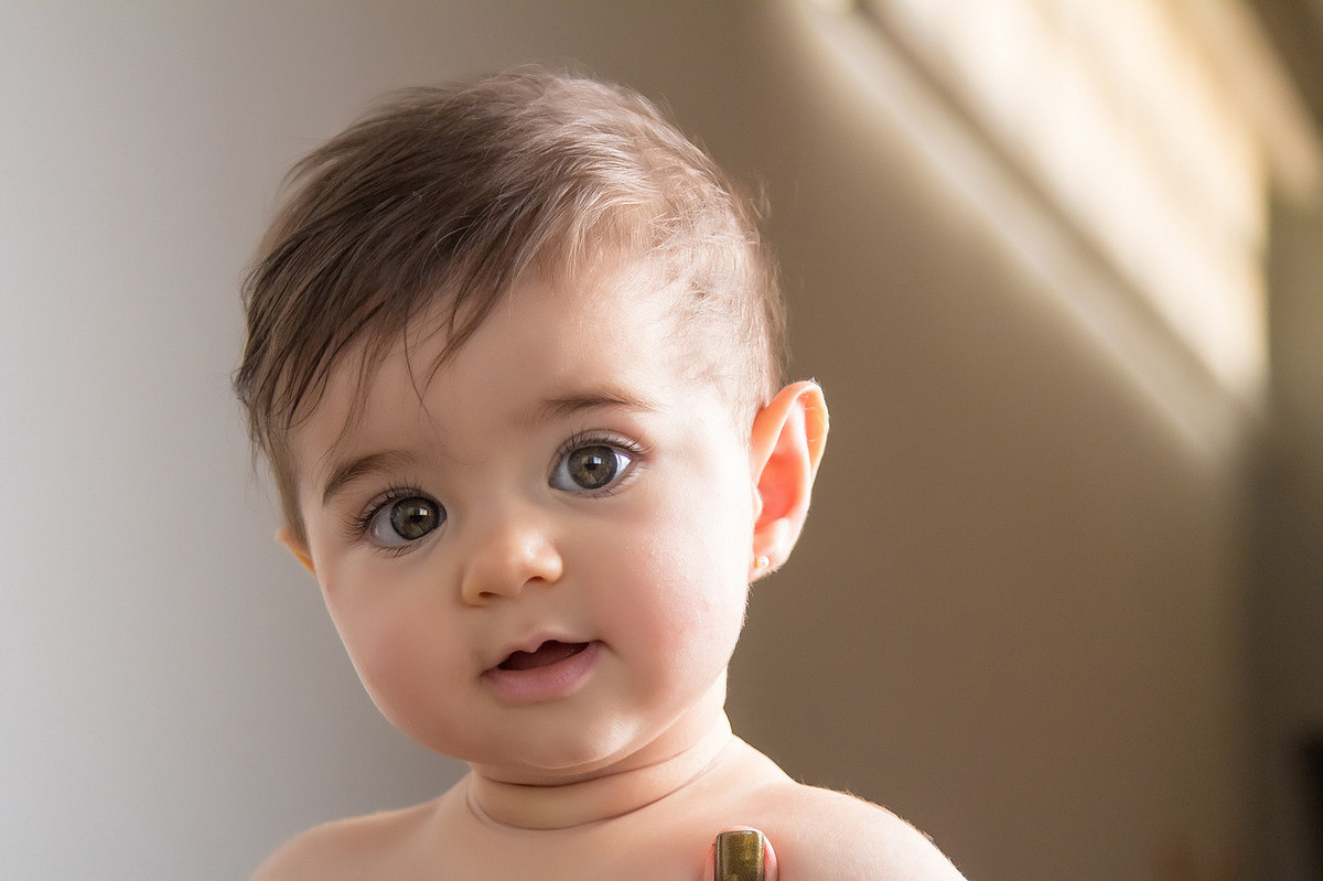 Book do Bebê Heloísa