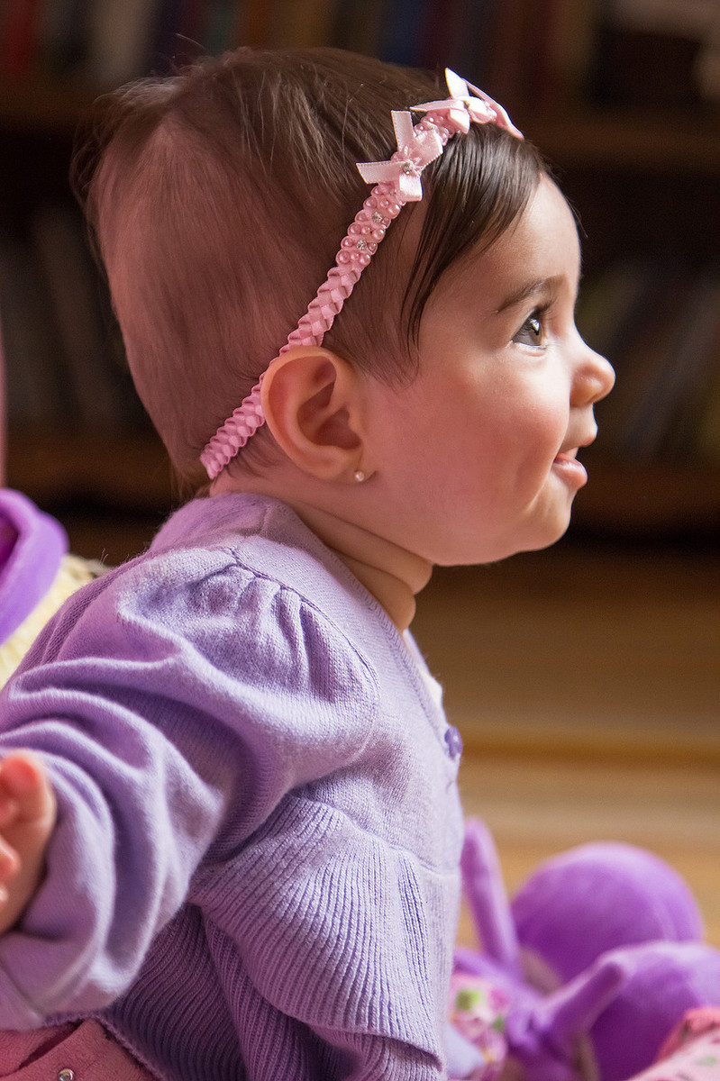 Book do Bebê Heloísa