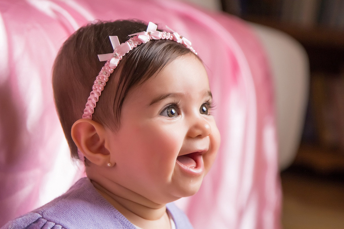 Book do Bebê Heloísa