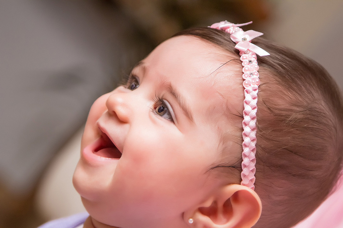 Book do Bebê Heloísa