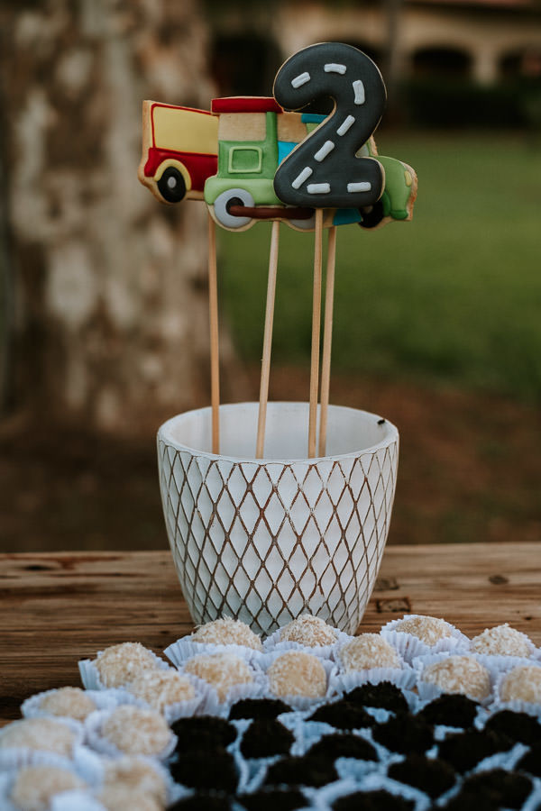 Festa de aniversário infantil minimalista do Dionísio com tema cactos no Sítio Ilha das Palmas, em Boituva por Anderson Crepaldi Fotografia