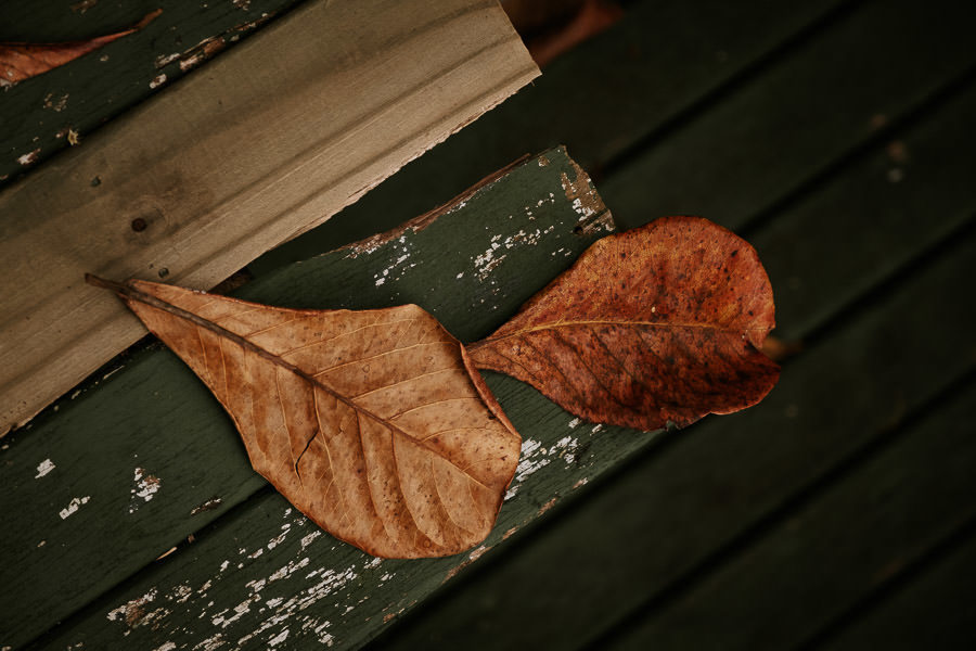 Ensaio na praia de Roberta e Eric no Maison Joly Hotel, em Ilhabela por Anderson Crepaldi Fotografia