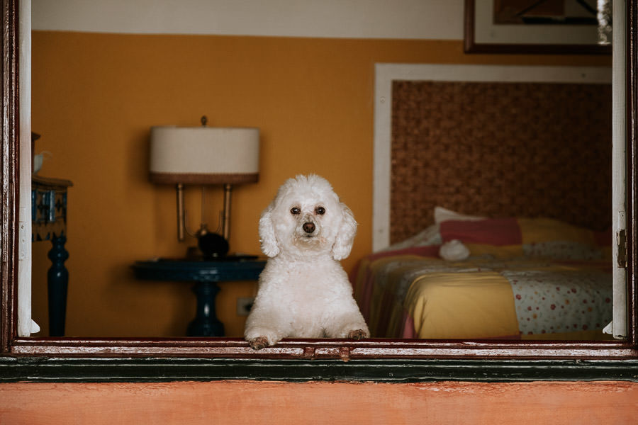 Ensaio na praia de Roberta e Eric no Maison Joly Hotel, em Ilhabela por Anderson Crepaldi Fotografia