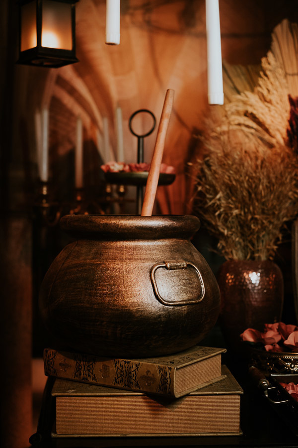 Festa de 15 anos, debutante com tema Harry Potter, de Nicole no Espaço Boulevard, em Jacareí por Anderson Crepaldi Fotografia