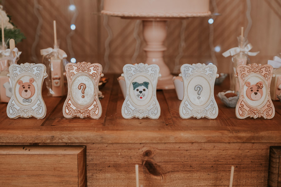 Chá revelação tema ursos em São Paulo por Anderson Crepaldi Fotografia