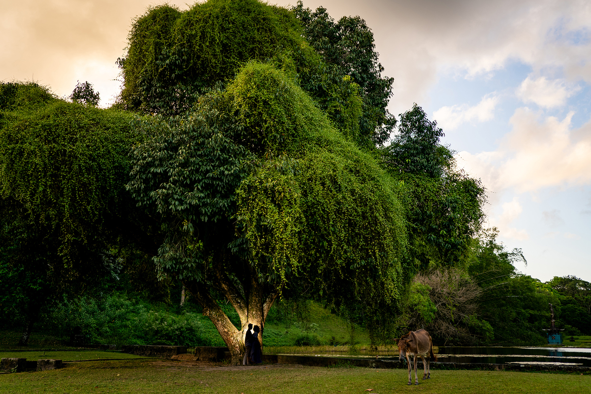 Pré wedding no Museu de Cerâmica Brennand 24